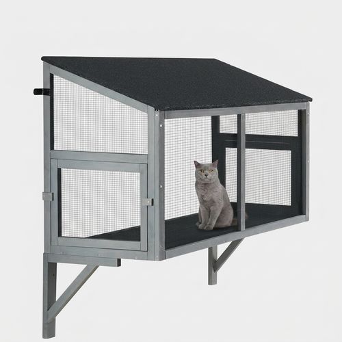 Outdoor Cat Catio